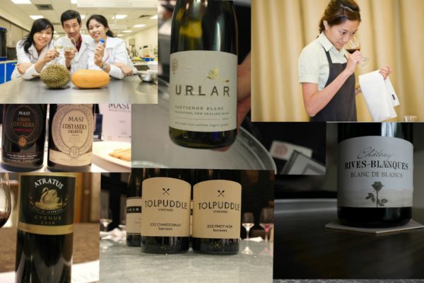 Rounding up Wine Xin for 2013